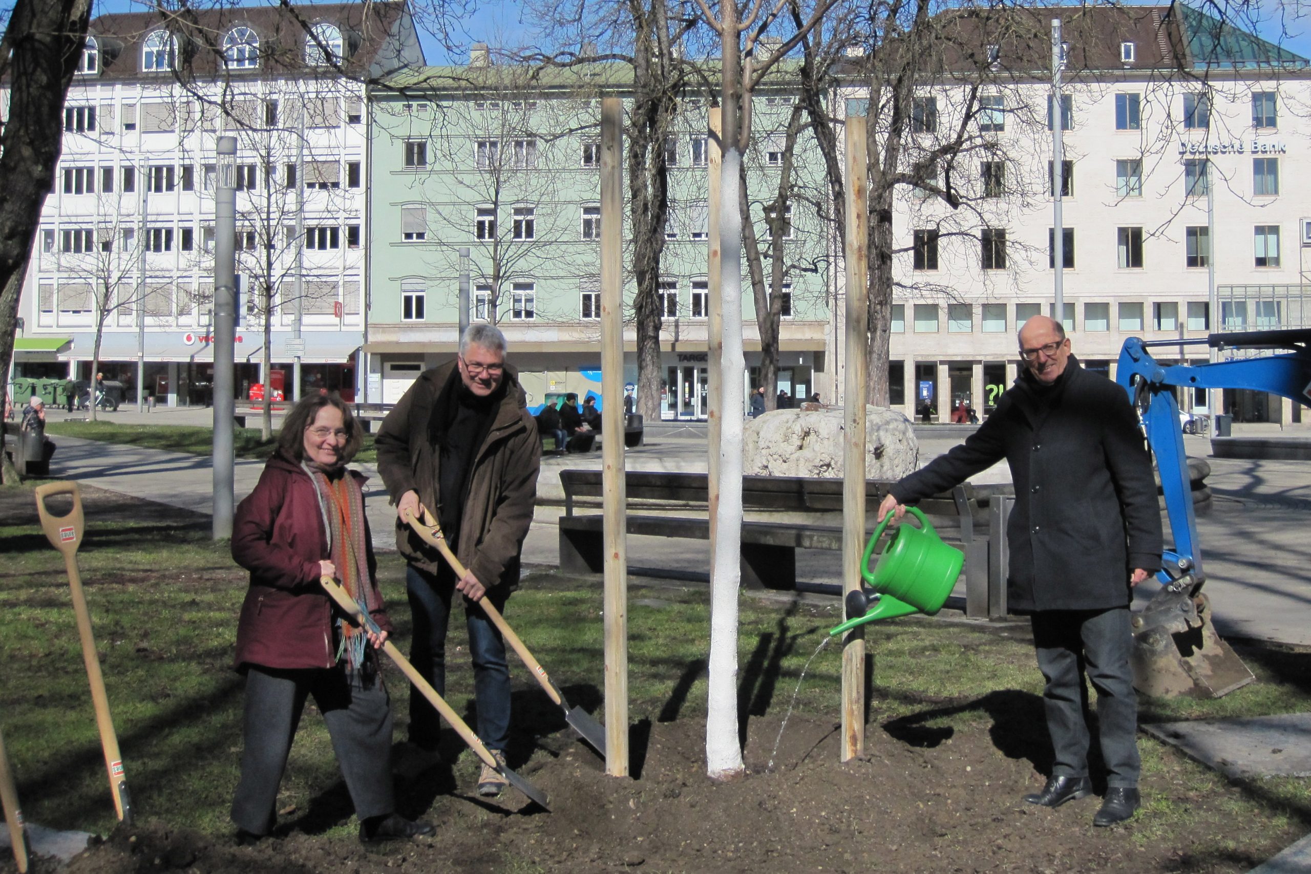 Landschaftsbau Saule Stiftung spendet neue Bäume für den Königsplatz: Frühjahr ist Pflanzzeit, das gilt für das Augsburger Stadtgebiet. Neben vielen geplanten Neupflanzungen zur Begrünung der Innenstadt müssen auch immer wieder alte Bäume – wie aktuell am Königsplatz – ersetzt werden. Am Thormann-Brunnen im Kö-Park konnte ein Blauglockenbaum als einer von drei neuen Bäumen im Bereich des Königsplatzes gepflanzt werden. Gespendet wurde der Baum von der Landschaftsbau Saule Stiftung.